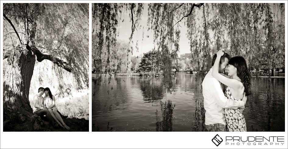 Boston Public Garden Photography