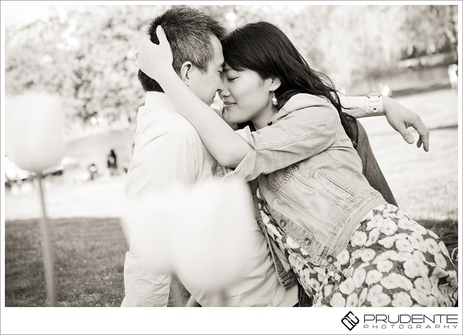 Boston Public Garden Wedding Engagement Photography