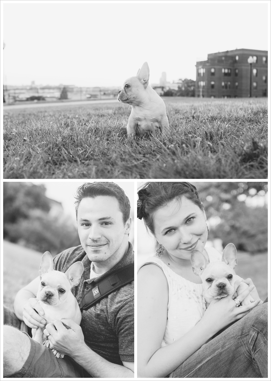 French bulldog family photos