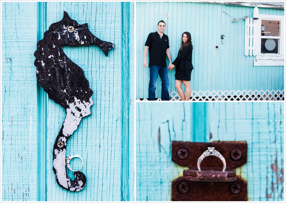 Engagement photographers in east boston