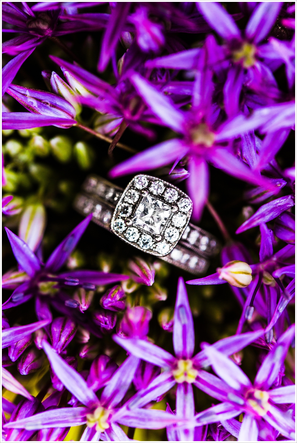 Public garden engagement photography