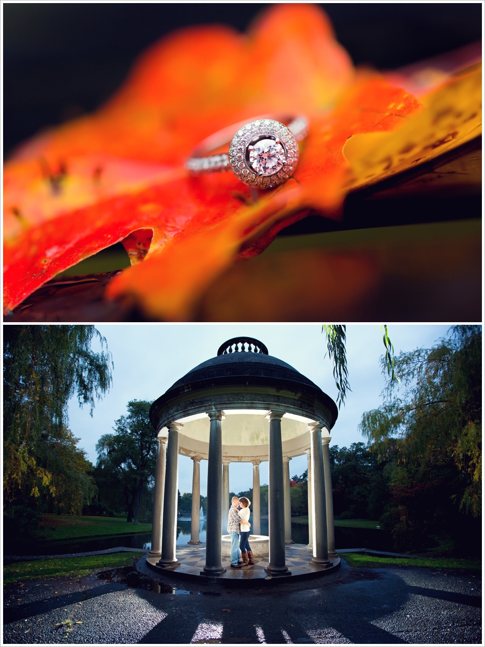 Larz anderson park engagement photos