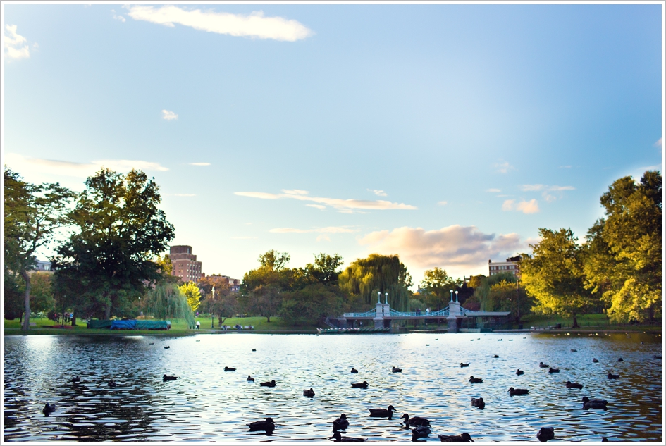 Public gardens bridge photo