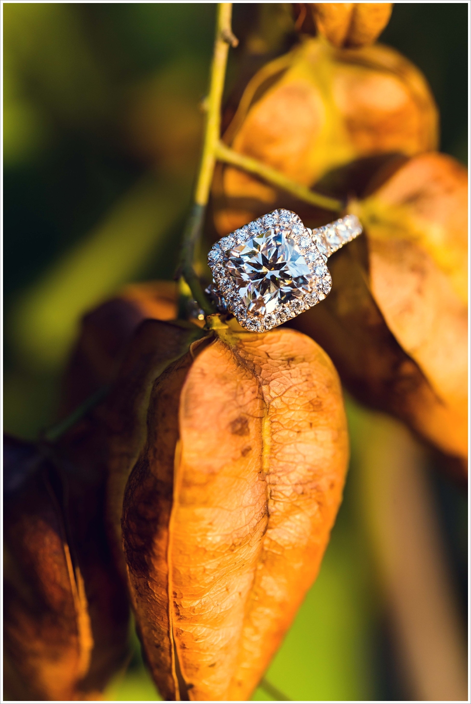 UMASS amherst wedding engagement photography