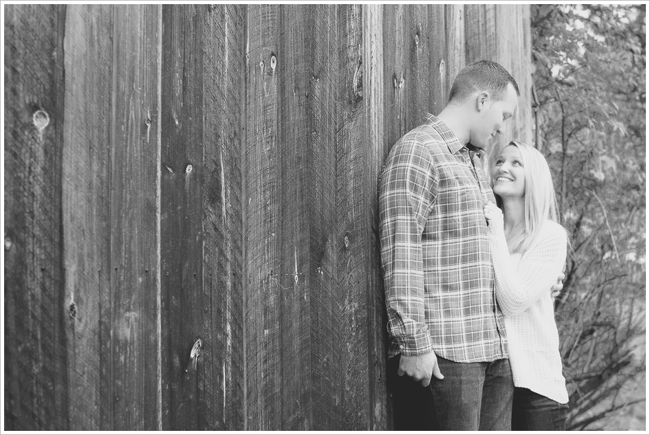 Apple Orchard Engagement photography BOSTON