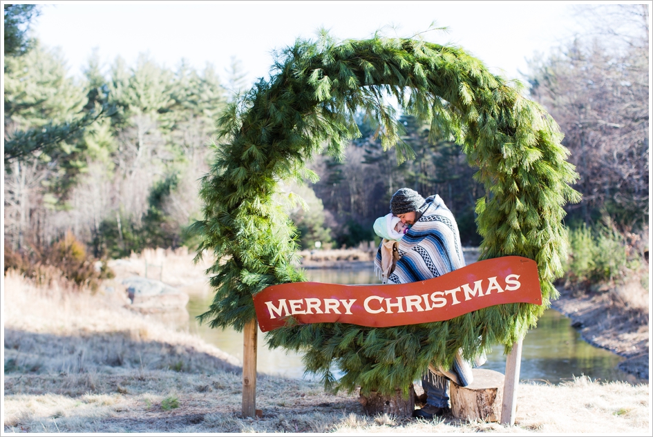 Sleighbell Farm Christmas Tree Sutton