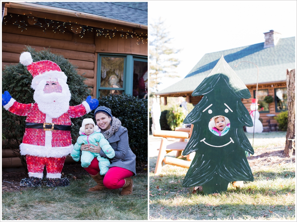 Sleighbell Farm Christmas Tree Sutton