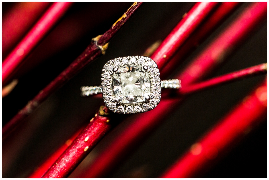 Stunning engagement ring photography wedding winter Boston Wedding Photography