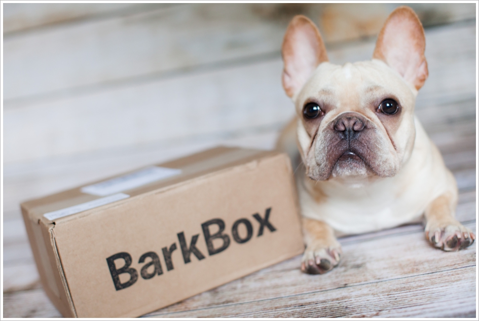 Bark Box for Oliver