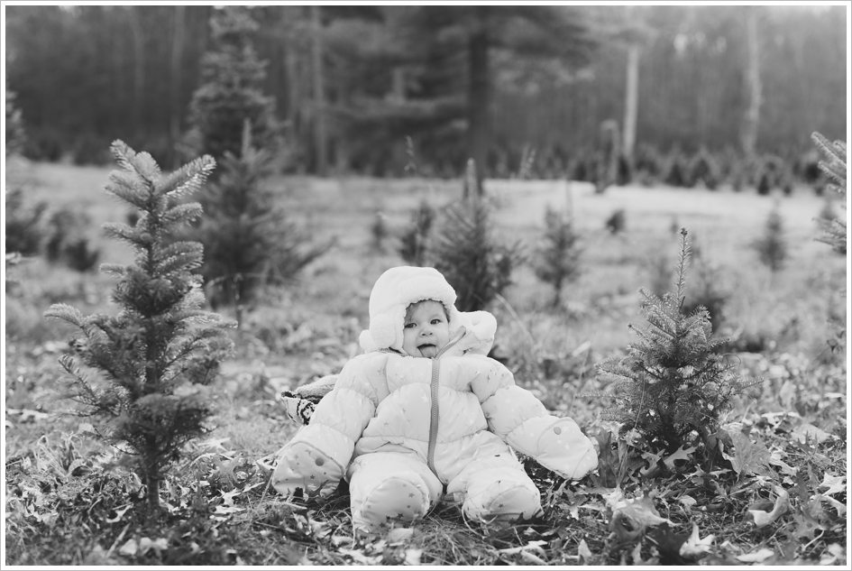 Sleighbell Farm Christmas Tree Sutton